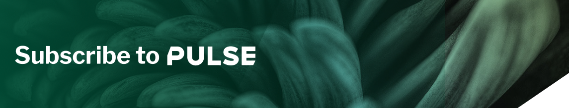 PULSE
